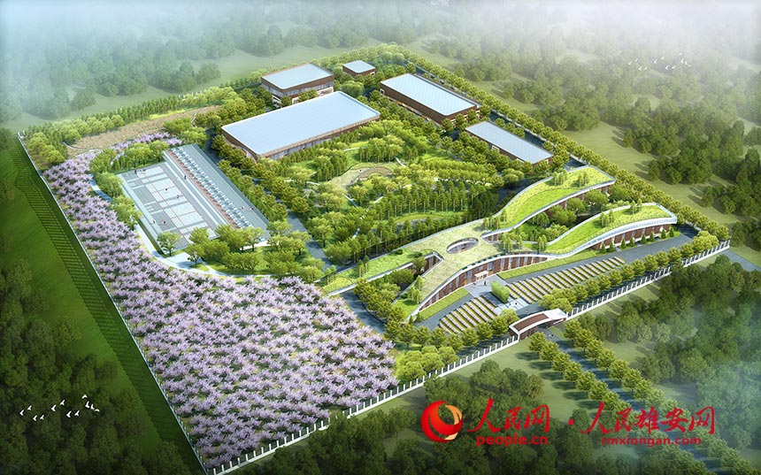 ۰^𲽅^1ˮSЧDнbFD