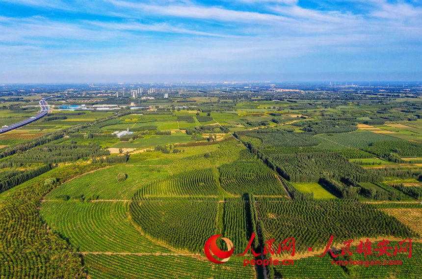 GɫB˾³ǅ^ڼٽOĔz