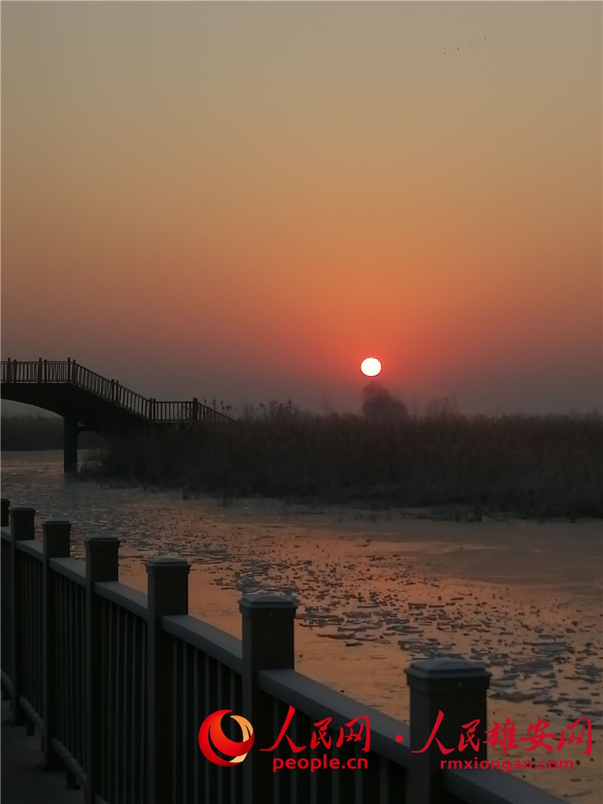 D202211յİճ z