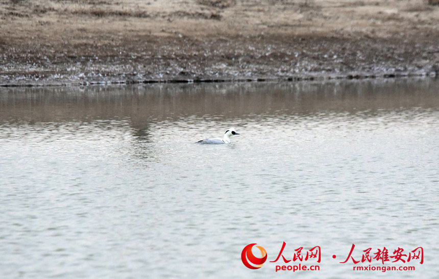 Тxӝع@ȗϢİ^ɳnz