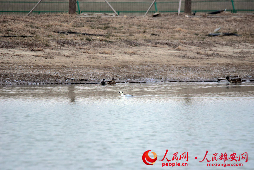 Тxӝع@ȗϢİ^ɳnz