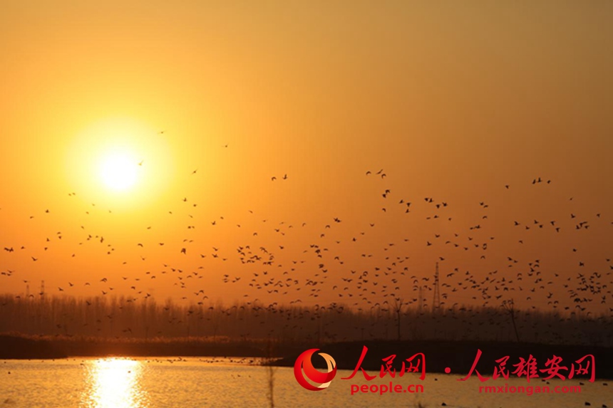 ���ҡ����С����o�B������������G�^�������۝���������u��ˮ�B�M�ɵ��BȺ���R���z