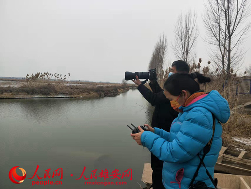 �{��F������ÔzӰ�O���^�y�B����R���z