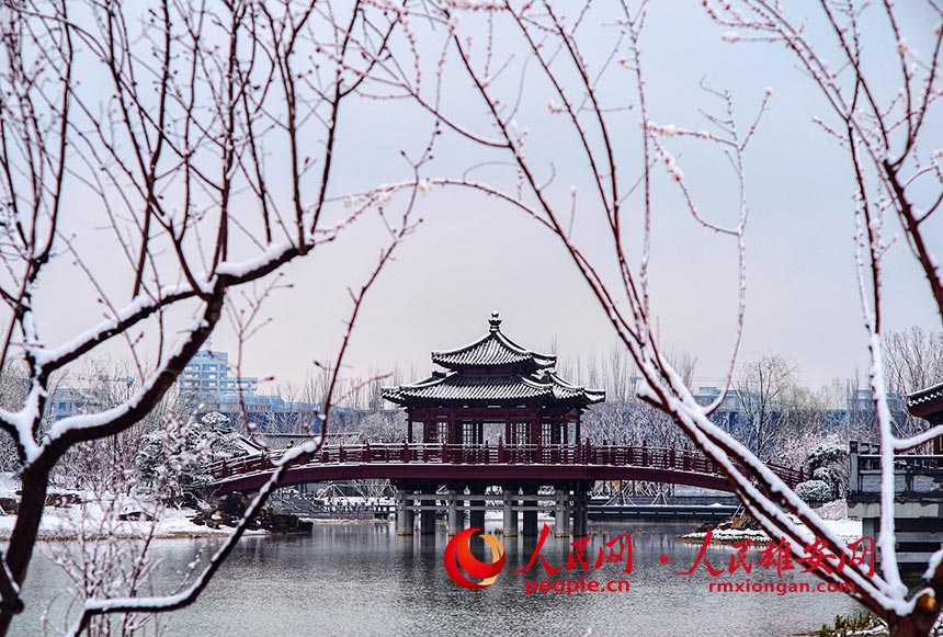 ѩе۰ݹ@ɫ z