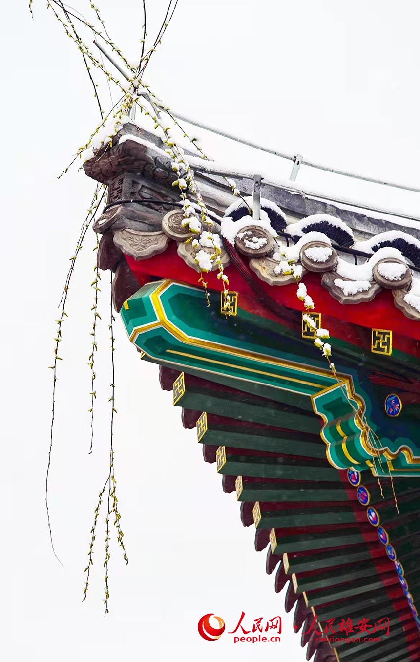 ѩ�е��۰����ݹ��@��ɫ����� �z