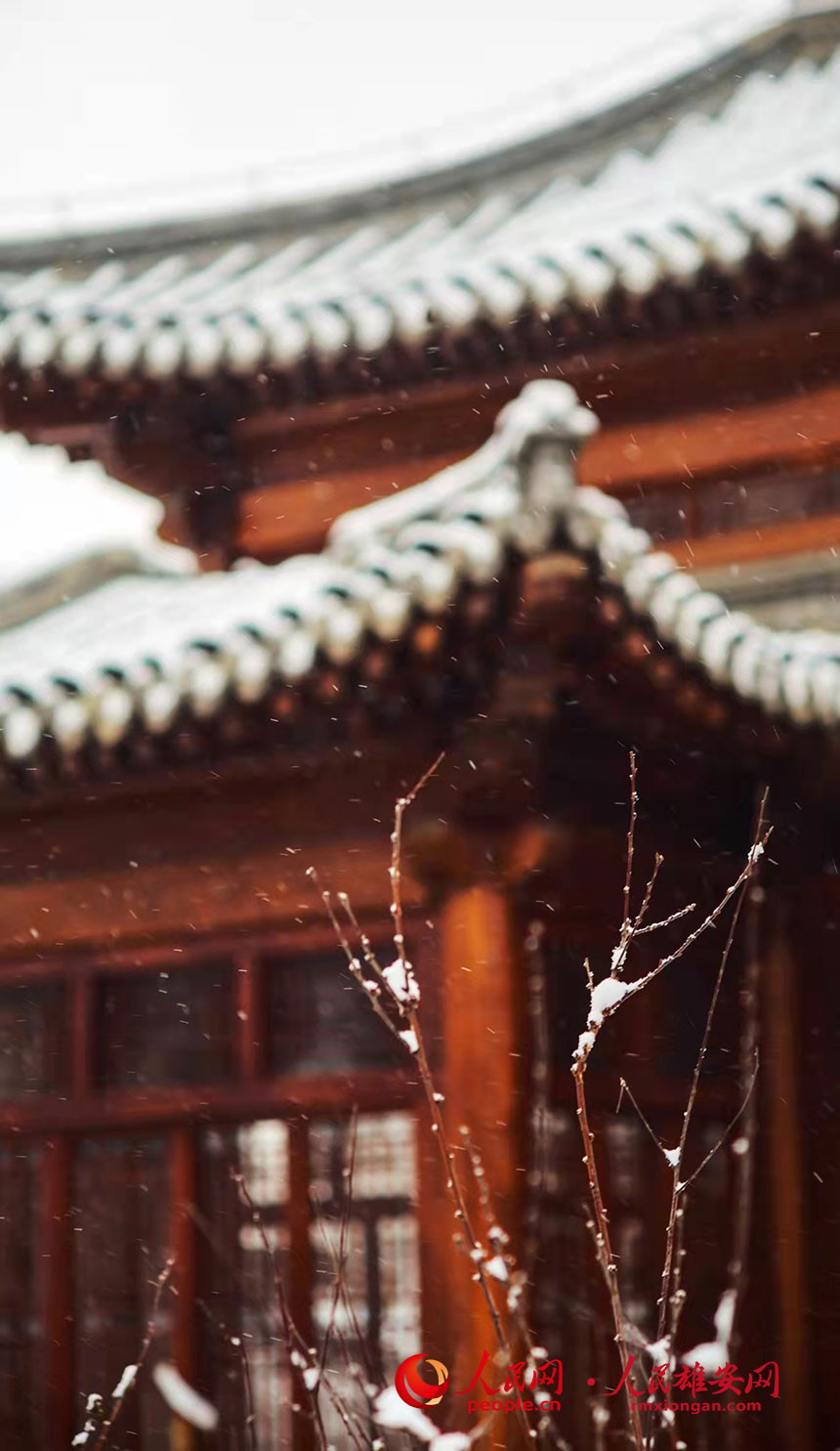 ѩ�е��۰����ݹ��@��ɫ����� �z