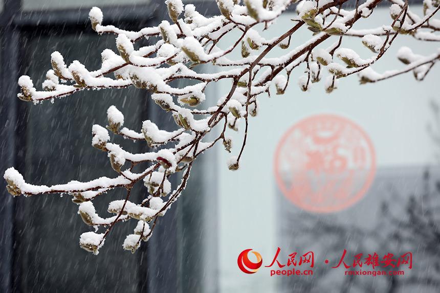 ѩ�д��ŵ����m��������� �z