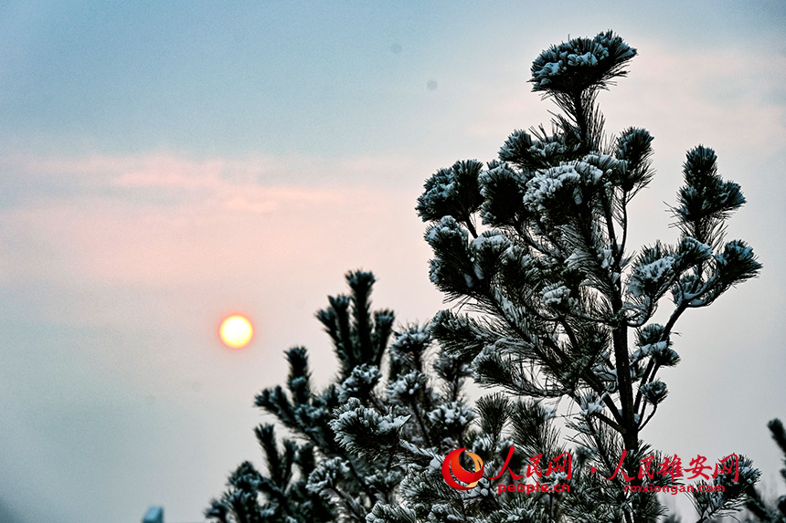 ��ѩ��֦�^������ �z