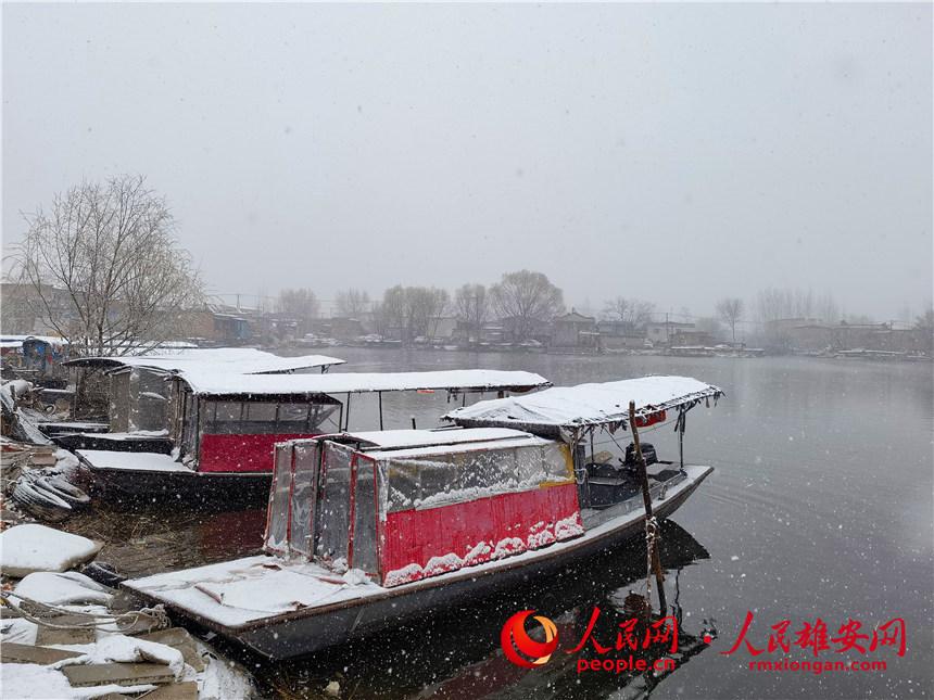 ѩ�еİ������������ �z