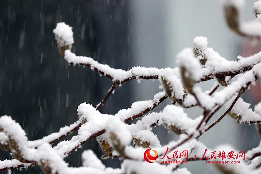 ѩ�д��ŵ����m��������� �z