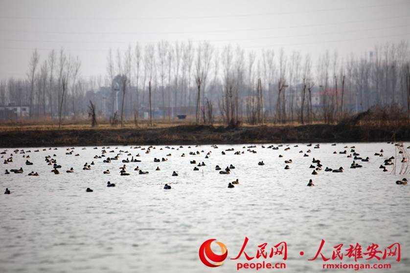 ԽćҡСoB_yt^Rz