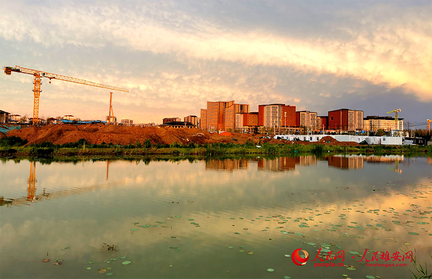 ߅ϼͲԵĺĽOF۰ƽˎ׷Ԋꖔz