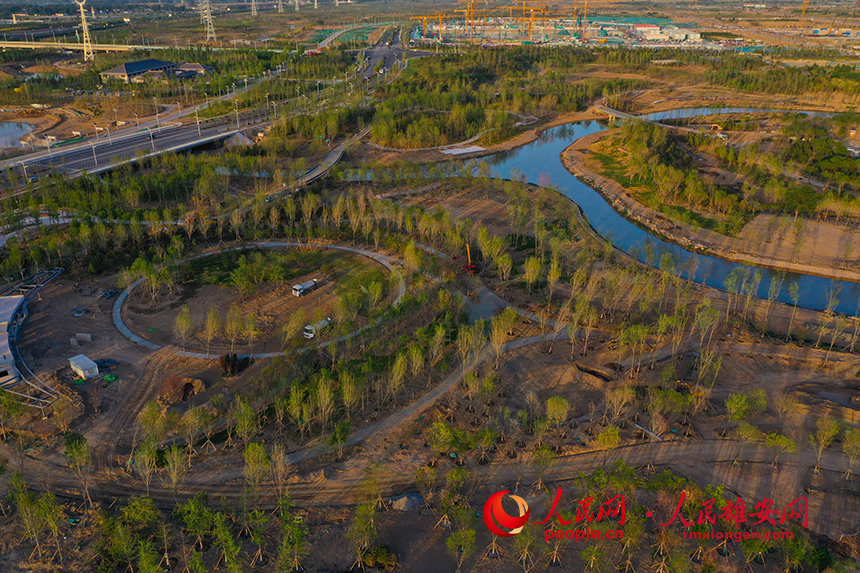 雄安新區啟動區中央綠谷項目。人民網 李兆民攝