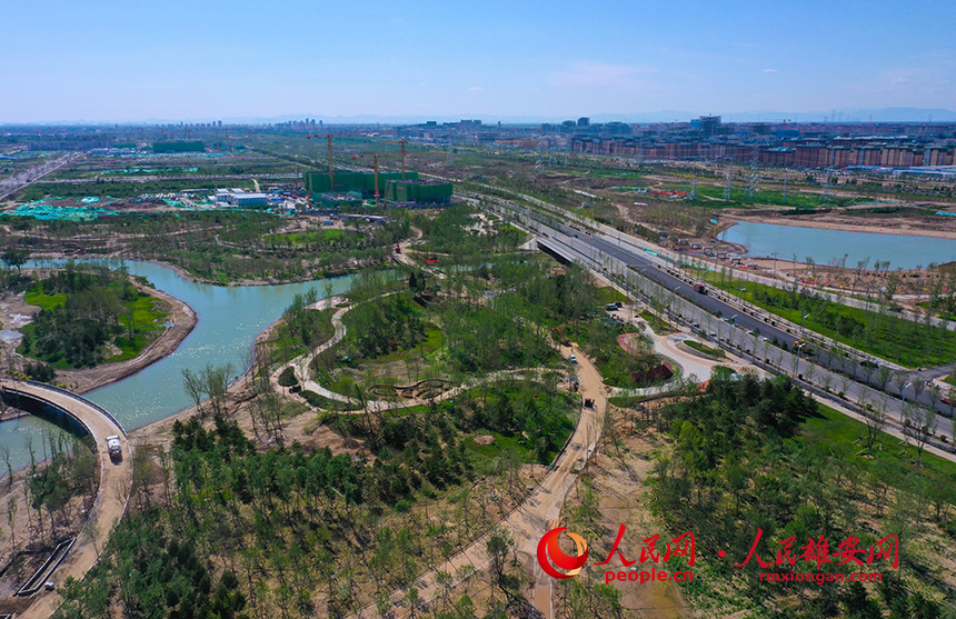 雄安新區啟動區中央綠谷項目。人民網 李兆民攝