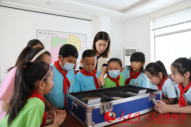 圖為少先隊員們開展實踐活動。容城縣宣傳部供圖