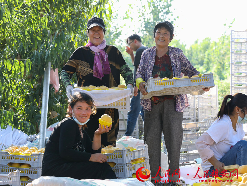 村民們正在將桃子打包。人民網 李兆民攝