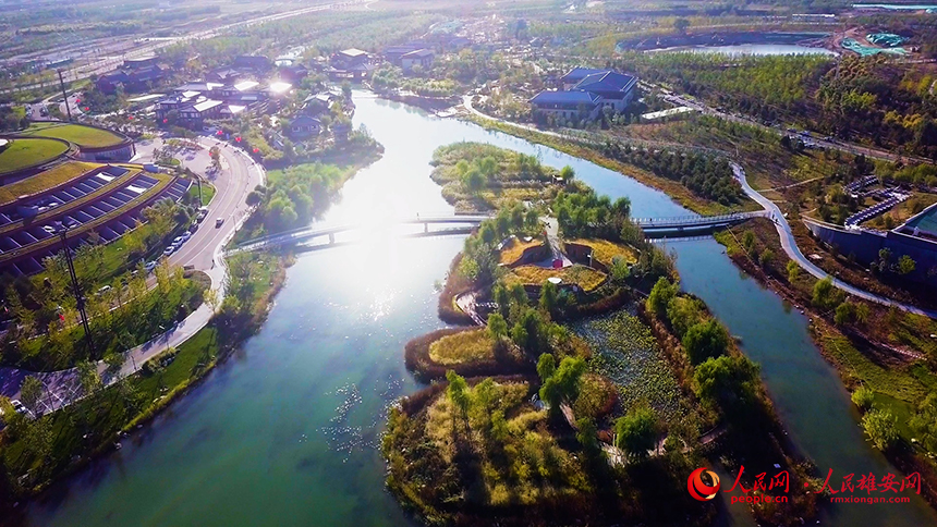 雄安郊野公園秋色如畫。人民網?楊華龍攝
