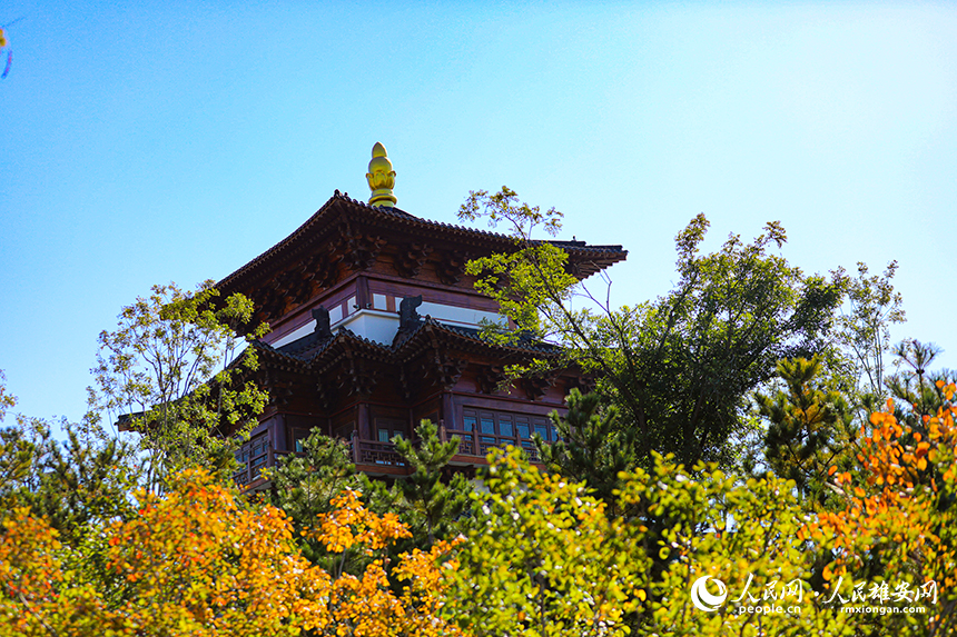 悅容公園秋意濃濃。人民網?楊華龍攝