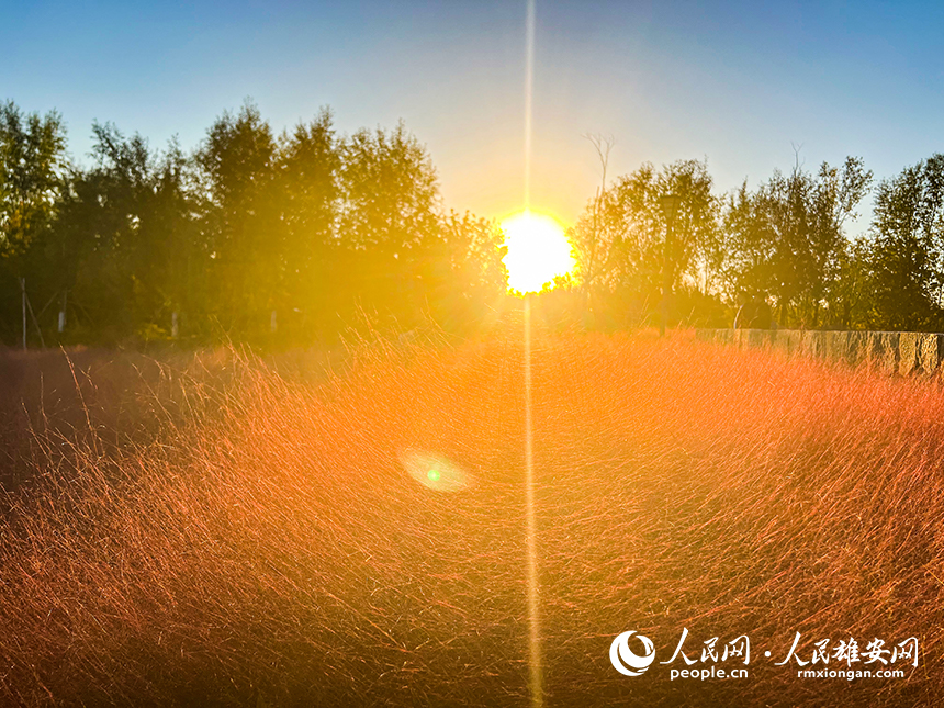 悅容公園秋意濃濃。人民網?楊華龍攝