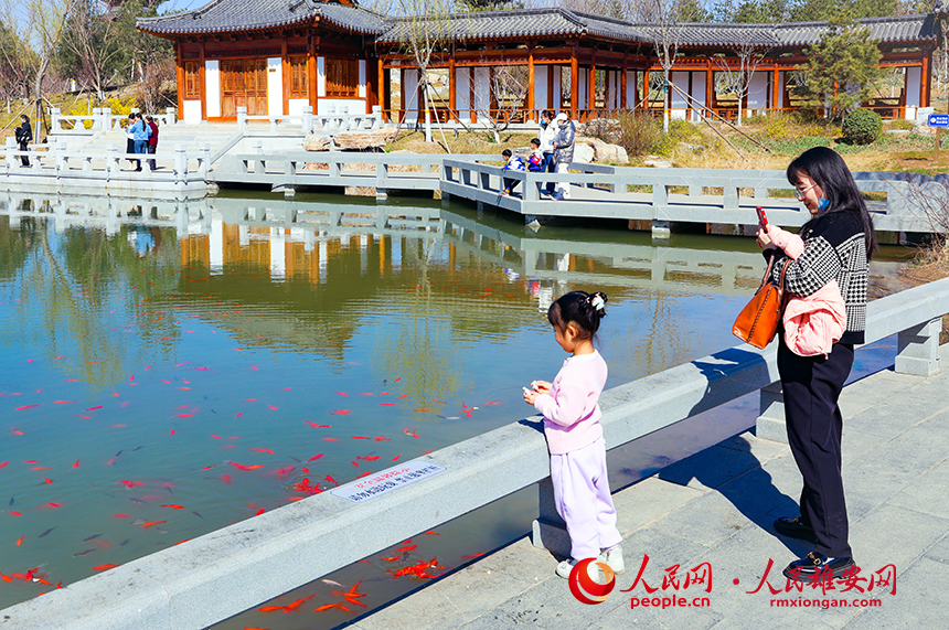 雄安悅容公園一角，不少家長帶著孩子前來游玩。人民網?宋燁文攝