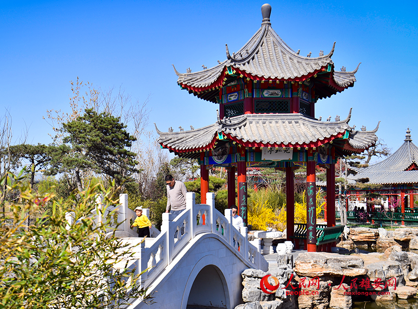 春天的雄安郊野公園，春和景明。人民網?宋燁文攝