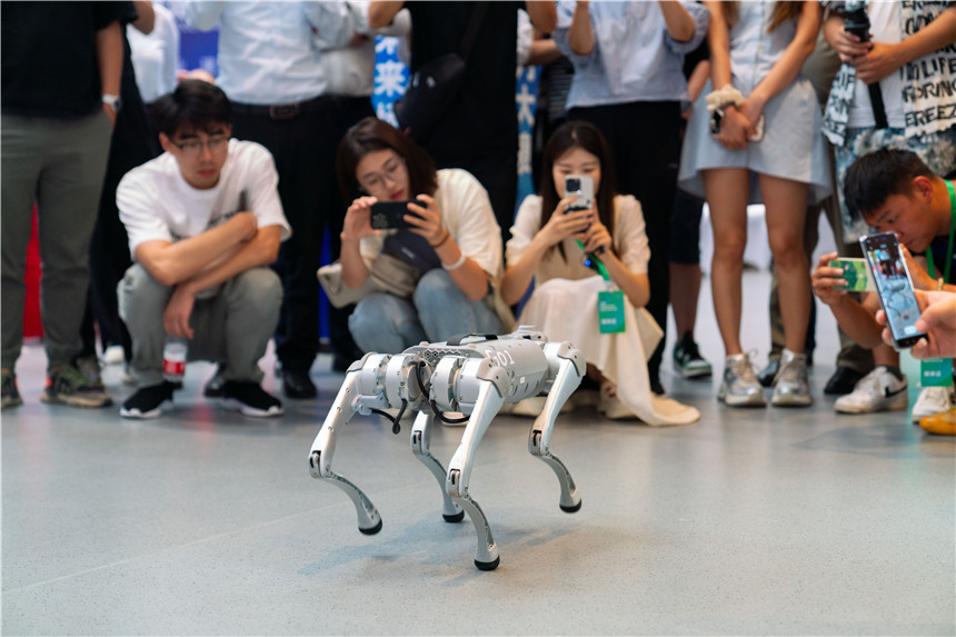 雄安國際服務機器人大賽決賽現場。吳本旭攝