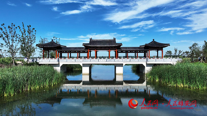 白洋淀燕南堤風光。人民網記者 李兆民攝