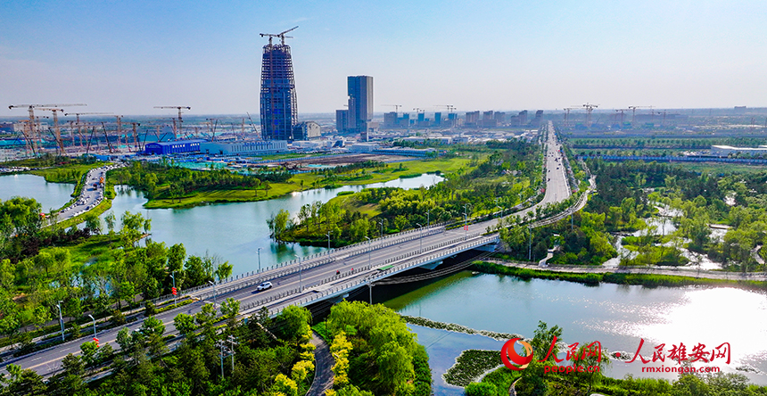 雄安新區啟動區航拍圖。人民網記者 李兆民攝