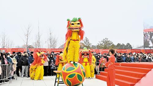 1月31日，“春節·雄安獅舞大會”精彩啟幕。圖為雄安洪亮龍獅隊正在表演《金珠鬧春》。本報記者 郝金鈺攝