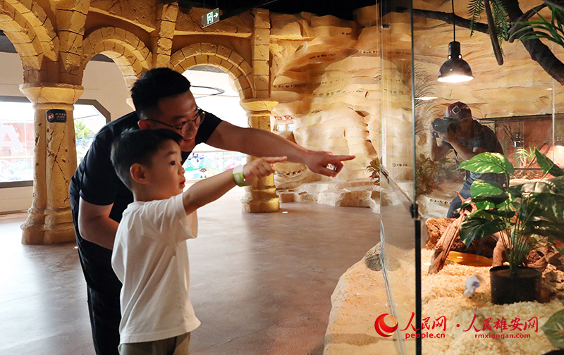 15月1日，在雄安商務服務中心尋環XLOOP，家長正在帶小朋友參觀、認識爬寵。人民網記者 宋燁