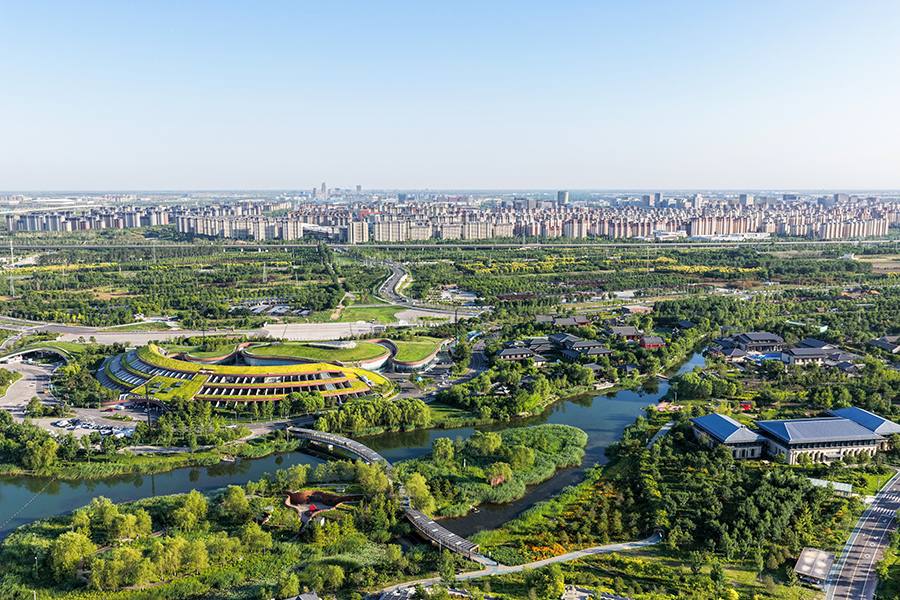 雄安郊野公園。胡忠攝