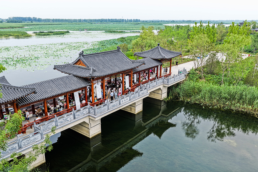 雄安新區燕南堤荷風橋。胡忠攝